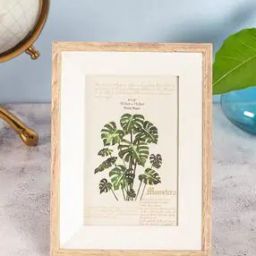 Tropical Style Photo Frame-48