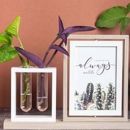 Test Tube Planter Decorated Photo Frame-22
