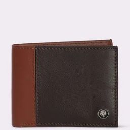 Men Colourblock Bi-Fold Wallet-image-43