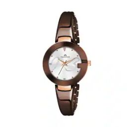 Women SW BW183 SLV Analogue Watch with Stainless Steel Strap-25