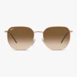 Unisex Gradient Lens Irregular Sunglasses-0RB3695I-4