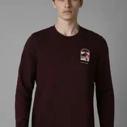 Men Embroidered Regular Fit Sweatshirt-picture-51