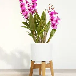 Plant Pot with Stand-30