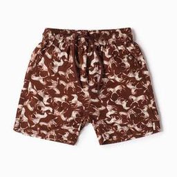 Boys Graphic Print Regular Fit Shorts-27