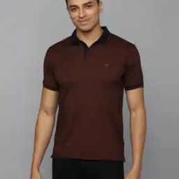 Polo T-Shirt with Embroidery-image-30