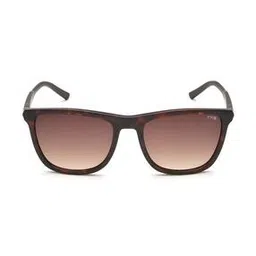 Men UV-Protected Wayfarer Sunglasses - IDSO211C2SG-52