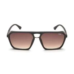 IDS2971C2SG Gradient Lens Full-Rim Wayfarer Sunglasses-picture-18
