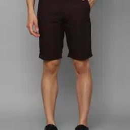 Slim Fit Flat-Front City Shorts-picture-10