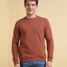 allen solly Men Regular Fit Crew-Neck Sweatshirt-picture-24