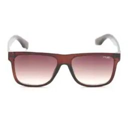 Men UV-Protected Square Sunglasses-IRS1225C2SG-13
