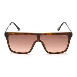 Men Full-Rim UV-Protected Square Sunglasses- IDS3049C2SG-image-55