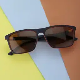 Men Brown Lens Blue Wayfarer Sunglasses - CLSM023-image-16