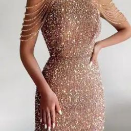 Women Embellished Bodycon Dress-image-19