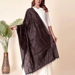 Women Embroidered Dupatta with Lace Hem-picture-27