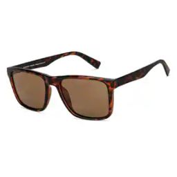 VC S13973 UV Blocking Wayfarers-50