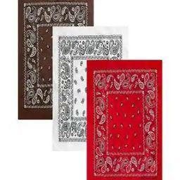 Cotton Paisley Bandanas-image-47