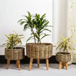 Set of 3 Natural Seagrass Handwoven Planters-19