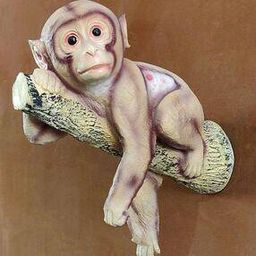 Fengshui Wall Monkey-image-49