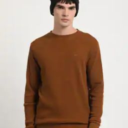 Men Regular Fit Round-Neck Sweatshirt-image-31