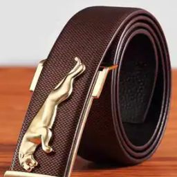 Wide Belt with Metal Accent-52