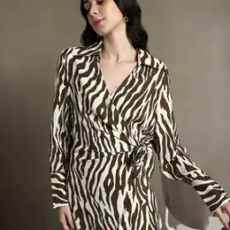 Women Animal Print Mini A-Line Dress-image-20