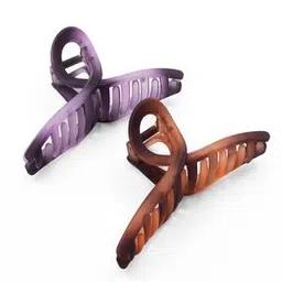 Set of 2 Clutch Hair Clips-image-111