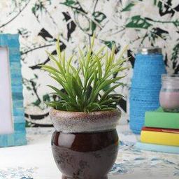 Set of 2 Ceramic Planter Pots-image-67