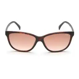 IDSO202C1SG UV-Protected Wayfarers-image-49