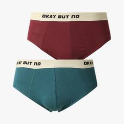 Men Pack of 2 Printed Briefs-image-0