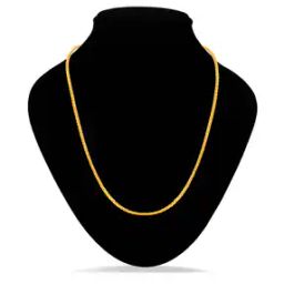 Gold-Plated Chain with S-hook Closure-image-20