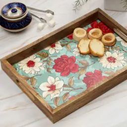 Multipurpose Enamel Coated Serving Tray-14