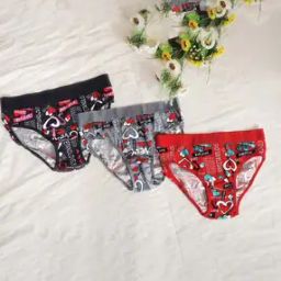 Pack of 3 Women Printed Briefs with Elasticated Waist-picture-45