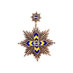mahi Gold-Plated Cross-Accent Brooch-picture-10