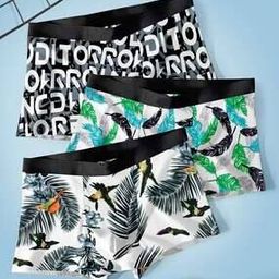 Pack Of 3 Animal Trunks-image-14