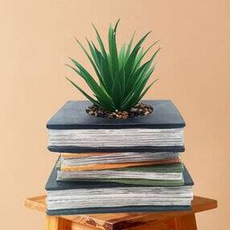 Artificial Pineapple Leaf Plant with Pot-image-28