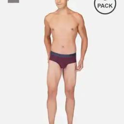 Pack of 2 Micro Modal Briefs with Soft Elasticated Waistband-image-52