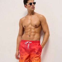 the bear house Graphic Regular Fit Shorts-picture-21