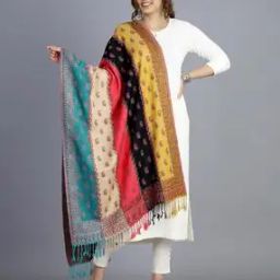 Women Paisley Woven Stole with Tassels-image-52