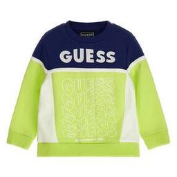 Brand Embroidered Regular Fit Sweatshirt-picture-14