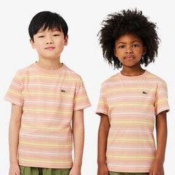 Boys Regular Fit Stripes T-Shirt-image-30