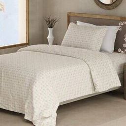 Organic Cotton 300 TC Single Bedsheet with 1 Pillow Cover -14