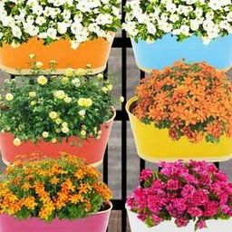 Set of 6 Balcony Railing Planters-image-64