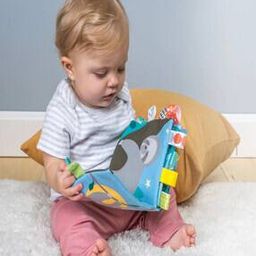 Book with Rustle Paper & Squeaker-30