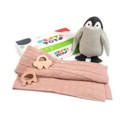Penguin Elephant & Car Toys-12