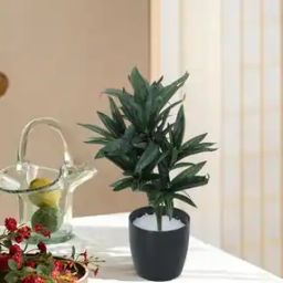 Artificial Dracaena Bush Basic Pot -image-36