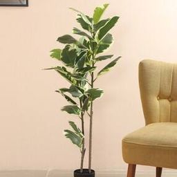 Garden Artificial Rubber Plant-19