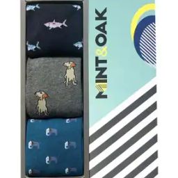 Pack of 3 Mid-Calf Length Socks-image-129