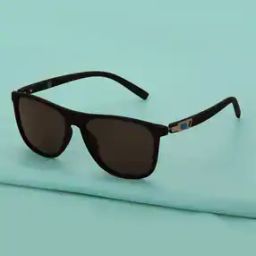 CLSM509 Men Wayfarers Sunglasses with Full-Rim Frame-picture-24