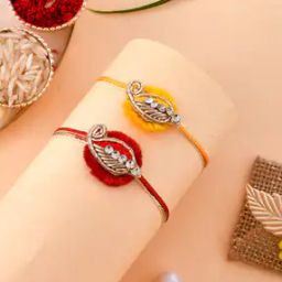 Set of 2 Handcrafted Patchwork Resham Rakhi-image-63