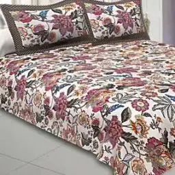 255 TC King Size Cotton Bedsheet with Pillow Covers-image-7